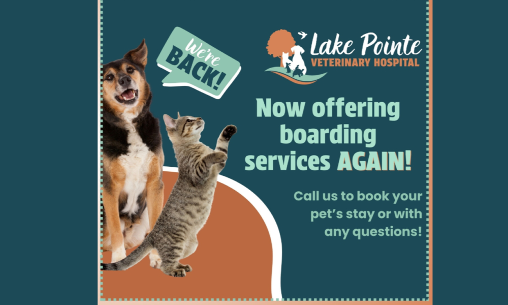 Lake Pointe Veterinary Hospital