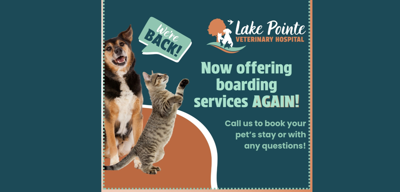 Lake Pointe Veterinary Hospital